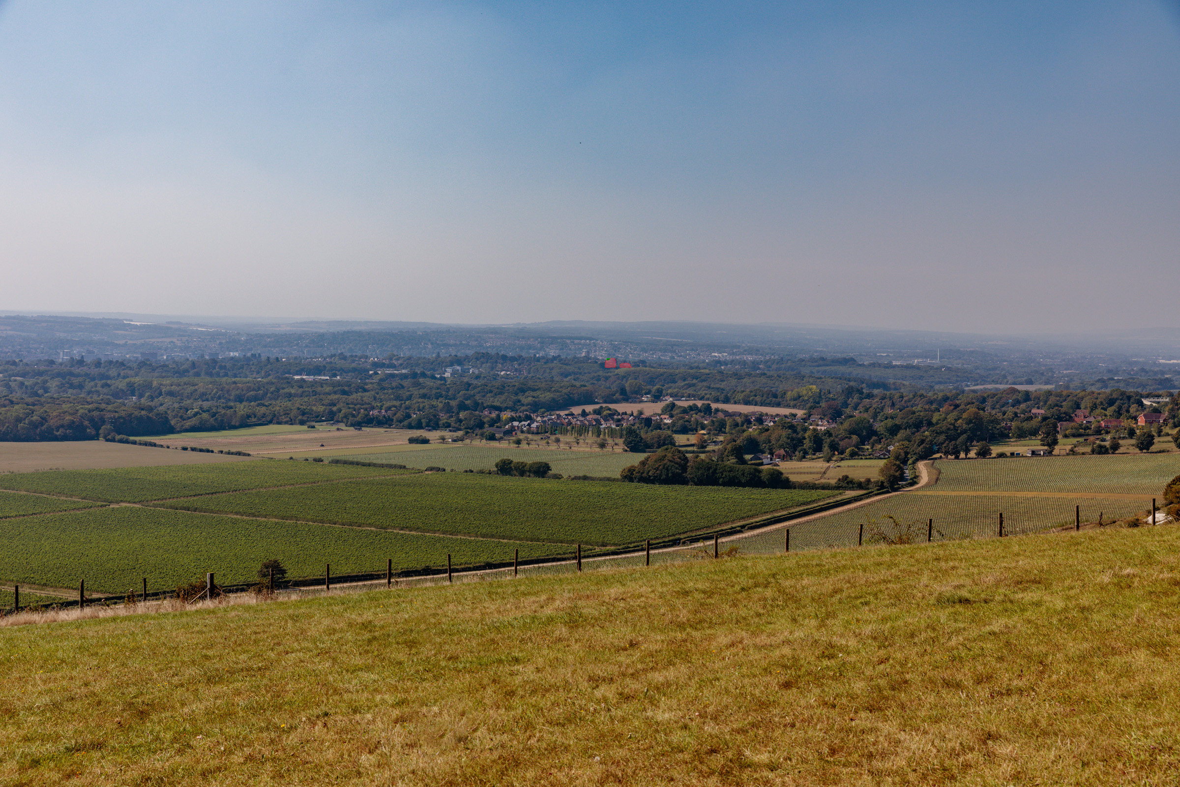 Springfield Place, Position 02