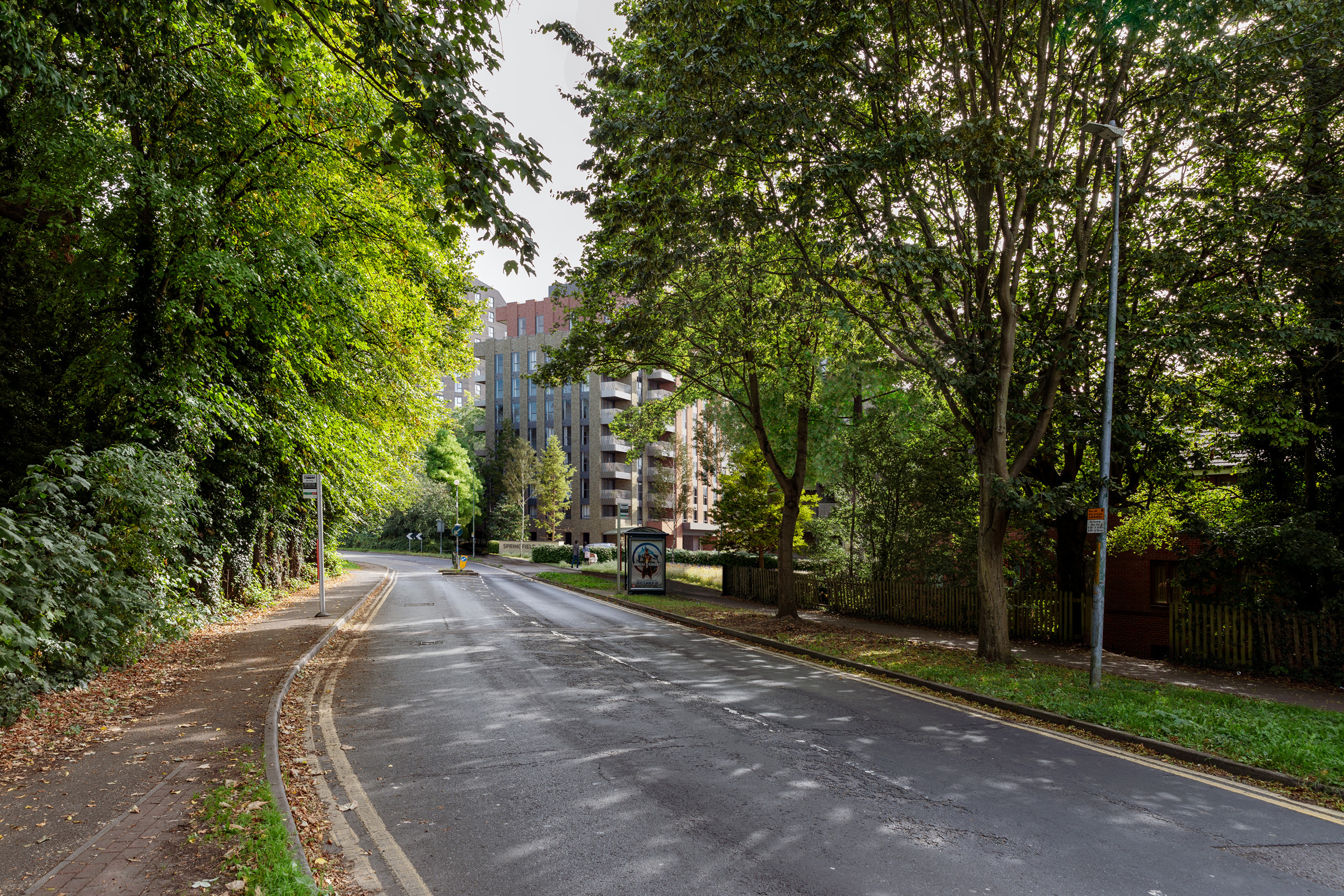 Springfield Place, Position 06