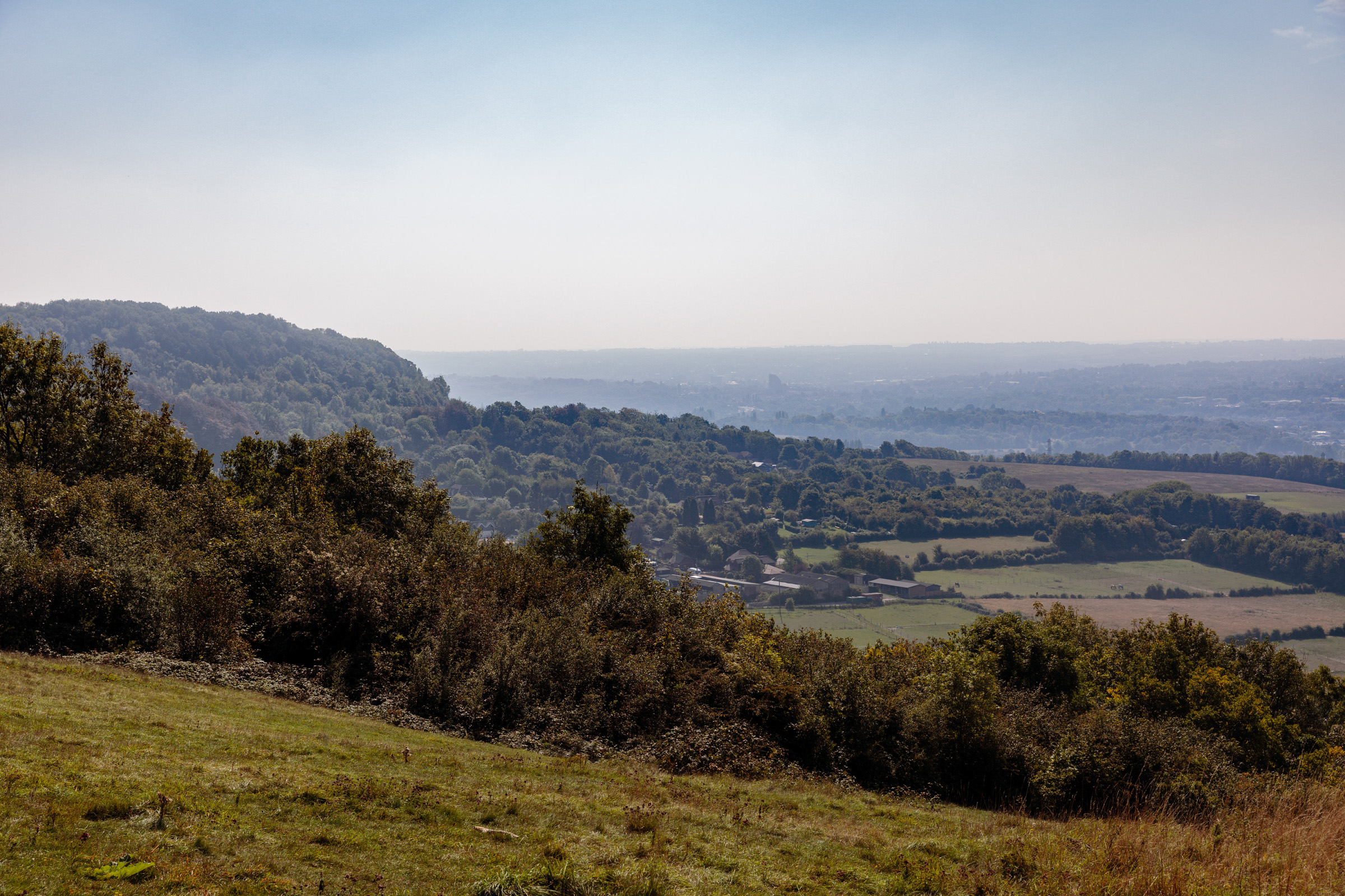 Springfield Place, Position 01 (Existing)