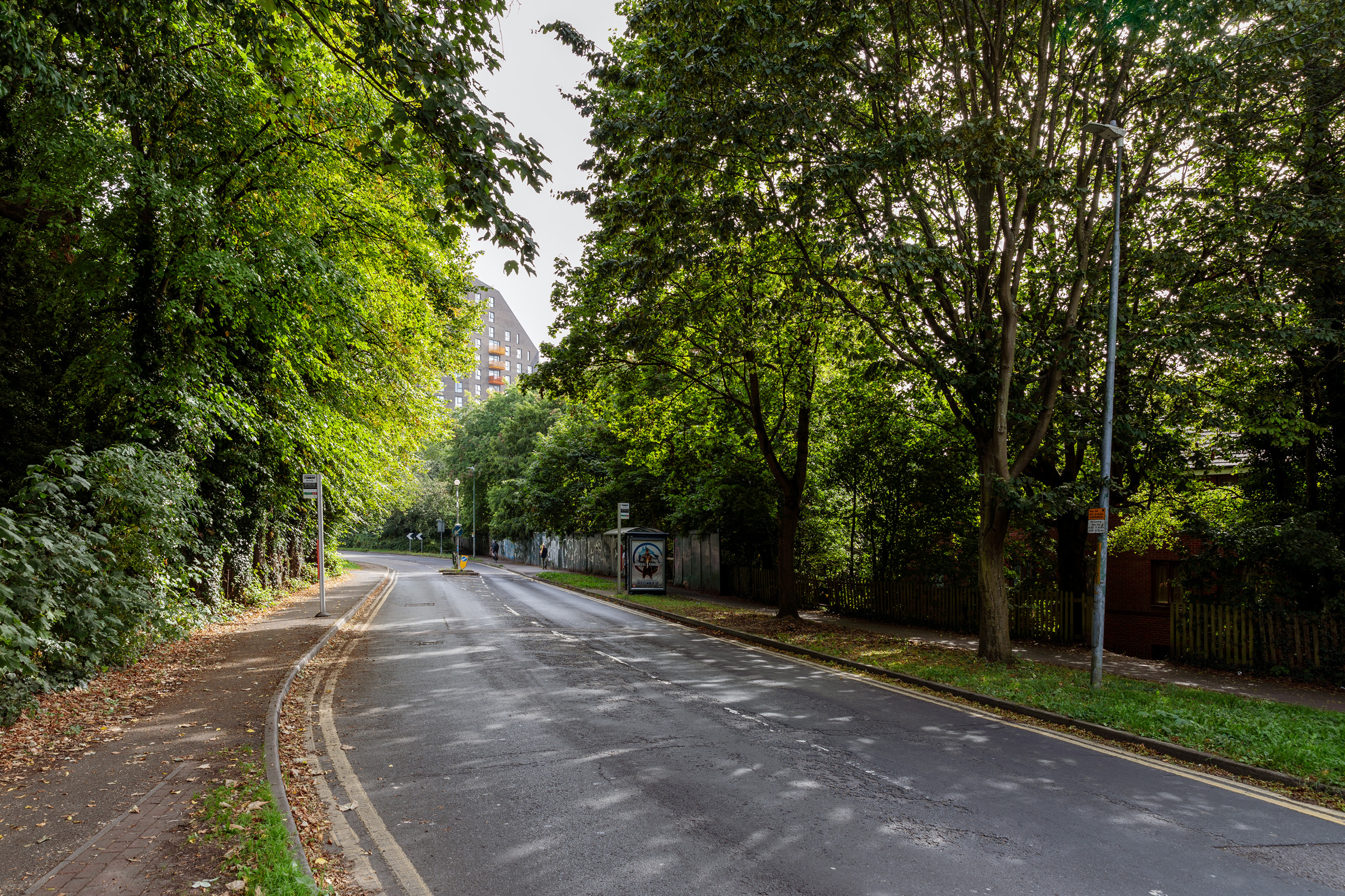 Springfield Place, Position 06 (Existing)